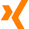 Xing Icon
